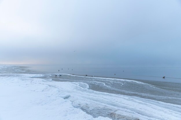 Paesaggio marino invernale nella neve