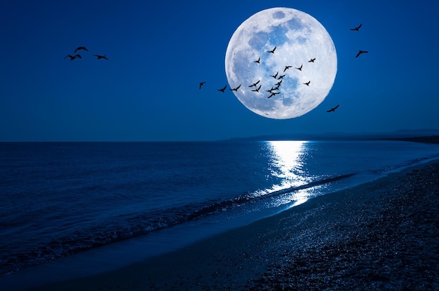 Paesaggio marino notturno fantasy con super luna e uccelli in volo