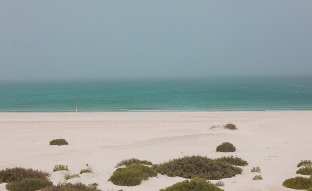 paesaggio marino prima della tempesta