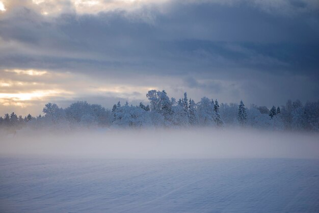 Paesaggio mattutino invernale con alberi ghiacciati, strada innevata, neve e nebbia, splendida vista sulla campagna