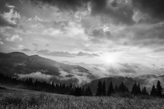 Paesaggio mattutino nebbioso