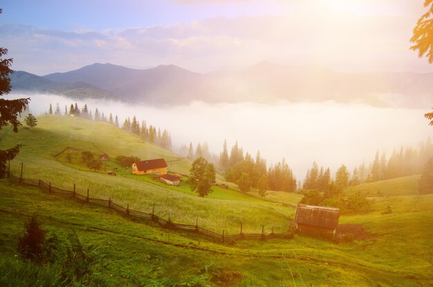 Paesaggio mattutino nebbioso