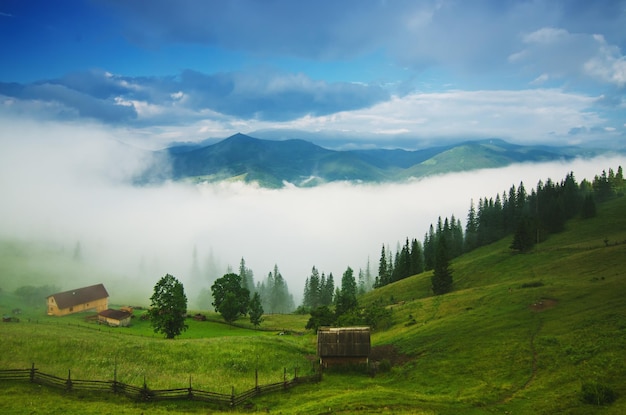 Paesaggio mattutino nebbioso