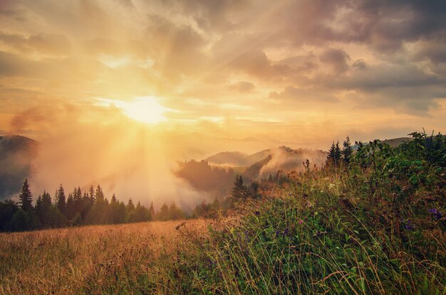 Paesaggio mattutino nebbioso