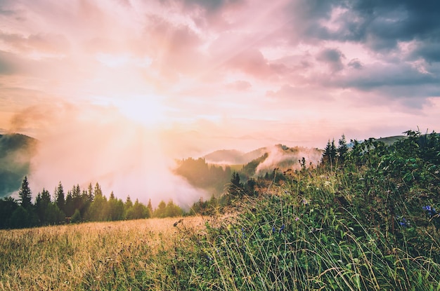 Paesaggio mattutino nebbioso