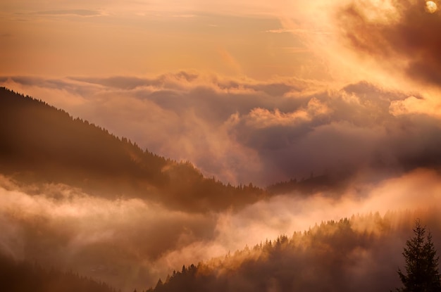 Paesaggio mattutino nebbioso