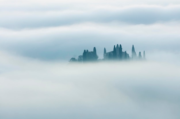 Paesaggio mistico nebbioso minimalista al mattino Toscana Italia