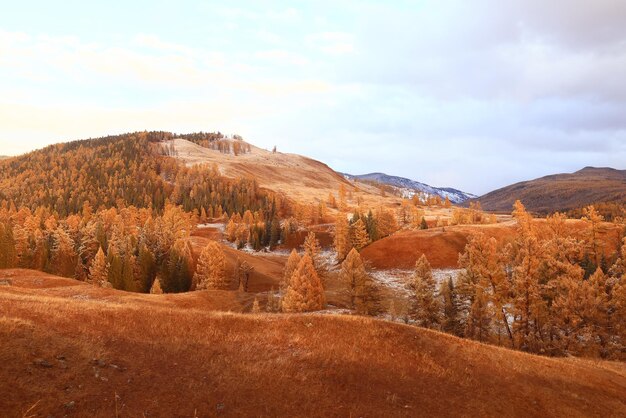 paesaggio montagna altai, panorama scenario libertà, natura autunnale della siberia