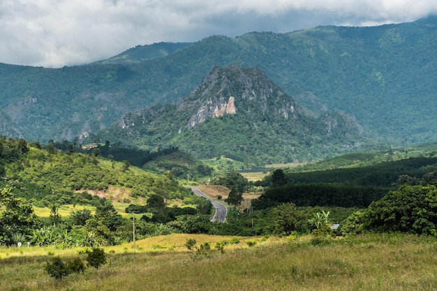 paesaggio Montagna con strada a Nan Thailandia