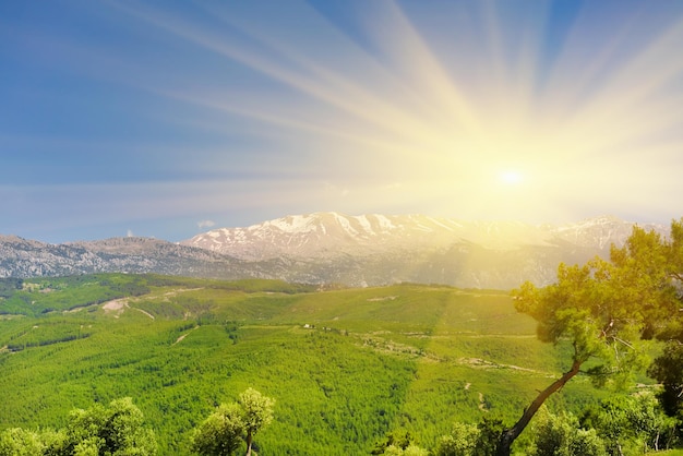 Paesaggio Montagne e alberi all'alba