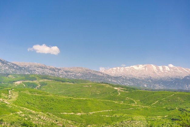 Paesaggio Montagne e valle con piccoli brani su sfondo blu cielo