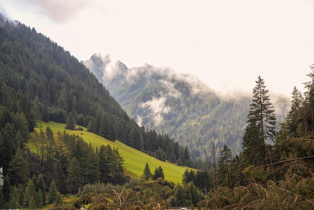 Paesaggio montano Cielo blu chiaro della Svizzera