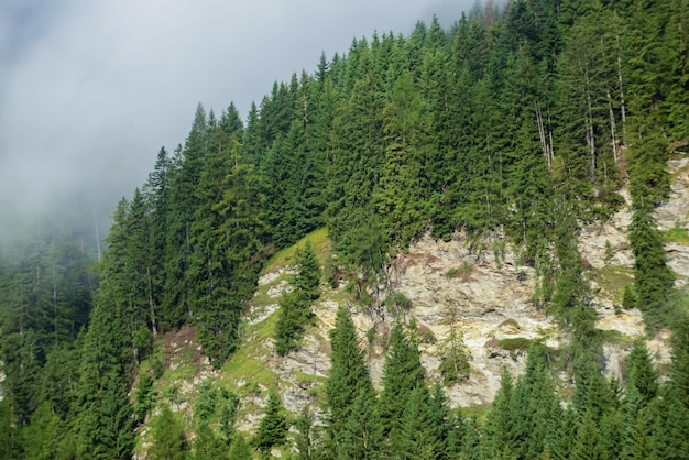 Paesaggio montano Cielo blu chiaro della Svizzera