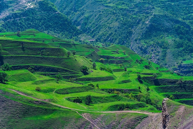 Paesaggio montano con verdi terrazzamenti agricoli sui pendii