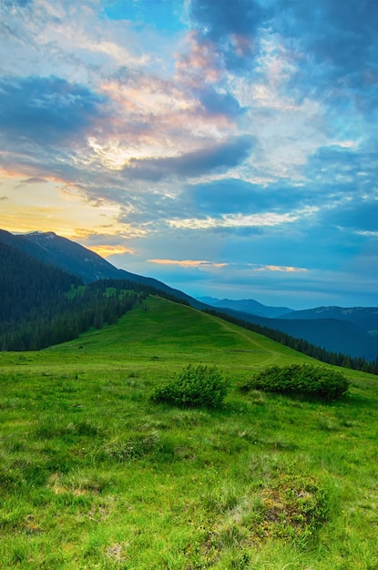 Paesaggio montano dei Carpazi