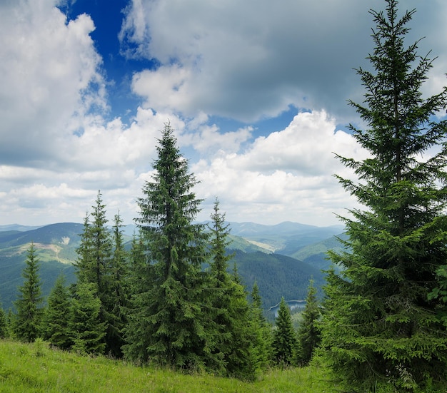 Paesaggio montano dei Carpazi