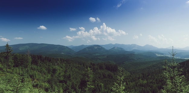 Paesaggio montano dei Carpazi