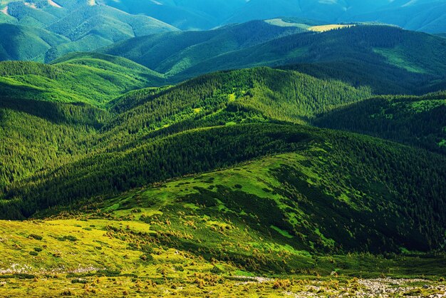 Paesaggio montano dei Carpazi