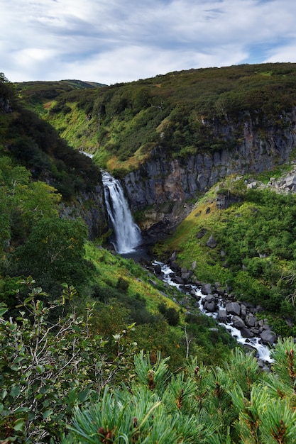 Paesaggio montano della penisola di Kamchatka: vista della pittoresca valle, del profondo canyon e della cascata di montagne circondate da pendii rocciosi, lussureggiante vegetazione di alta montagna - cespugli e alberi verdi.