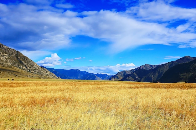 Paesaggio montano di Altai, panorama sullo sfondo del paesaggio autunnale, vista sulla natura autunnale
