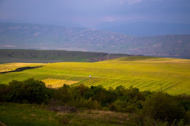 Paesaggio montano e vieწ