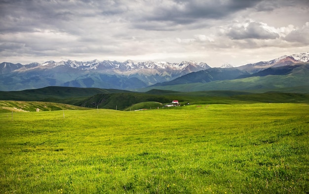 Paesaggio montano estivo in Kazakistan