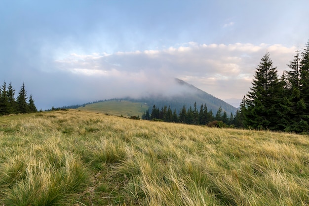 Paesaggio montano in bel tempo soleggiato.