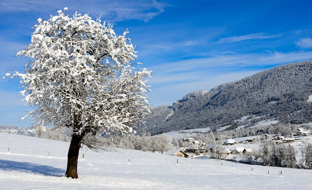 Paesaggio montano in inverno con la neve