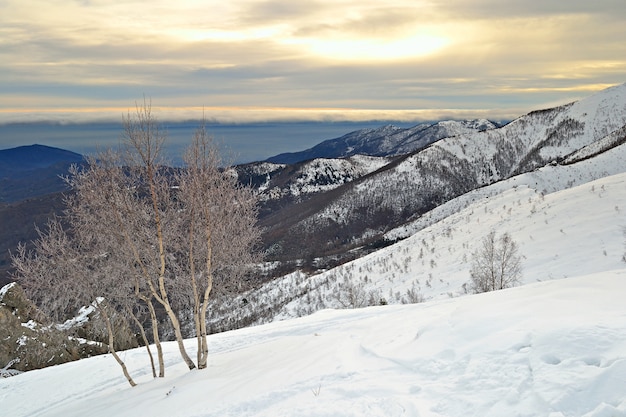 paesaggio montano innevato inverno sulle alpi
