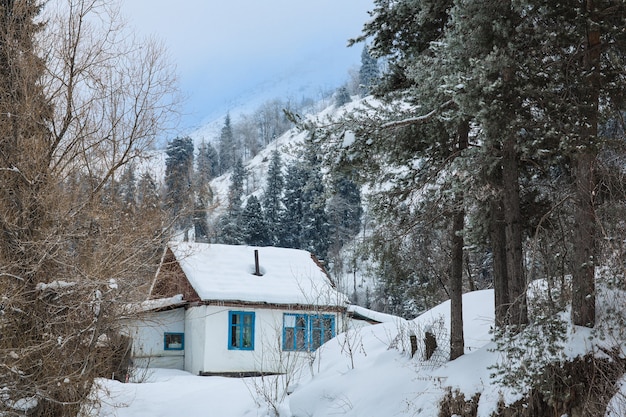 paesaggio montano invernale con abeti innevati