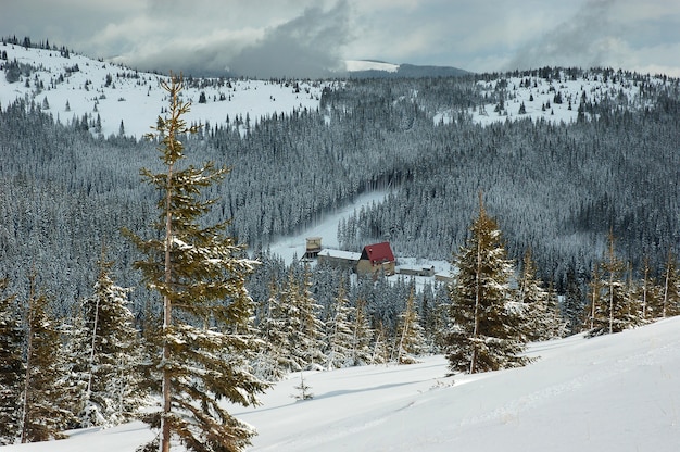 Paesaggio montano invernale con colline forestali innevate neve a