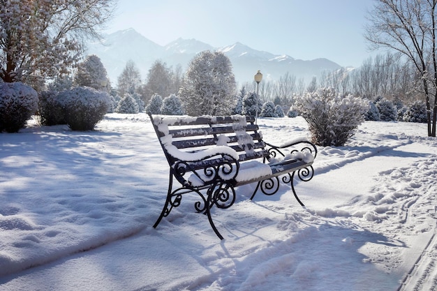 Paesaggio montano invernale di panchina con strada innevata e alberi nel parco