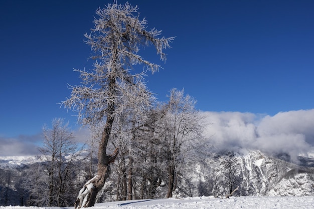 Paesaggio montano invernale nelle Alpi