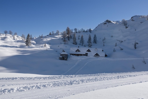 Paesaggio montano invernale nelle Alpi
