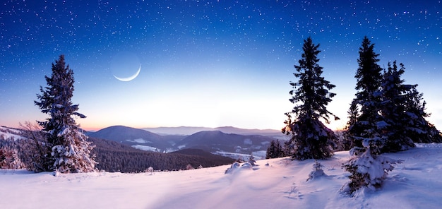 Paesaggio montano invernale Paesaggio notturno con stelle sul cielo Splendida vista sulle montagne e cielo pieno di stelle di notte Bella notte invernale in montagna Foto di alta qualità