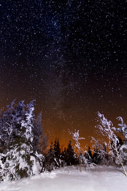 Paesaggio montano invernale Paesaggio notturno con stelle sul cielo Splendida vista sulle montagne e cielo pieno di stelle di notte Bella notte invernale in montagna Foto di alta qualità