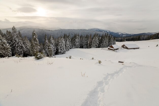 Paesaggio montano invernale.