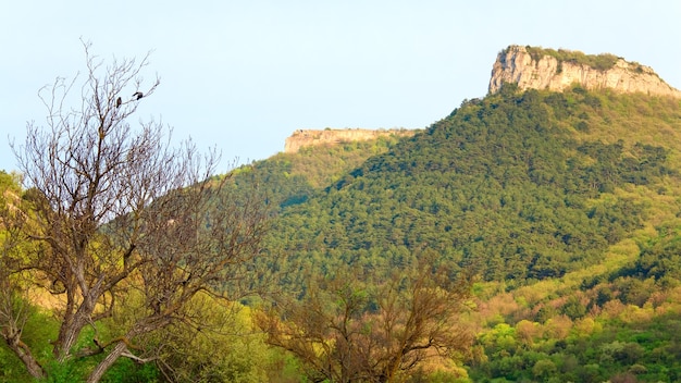 Paesaggio montano primaverile della Crimea con Mangup Kale - fortezza storica e antico insediamento di grotte in Crimea, Ucraina.