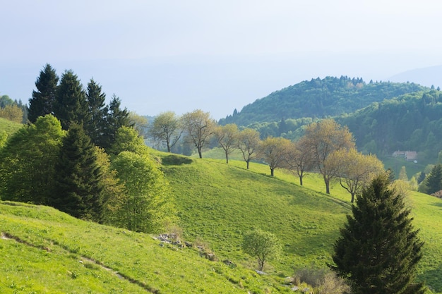 Paesaggio montano primaverile Monte Grappa Italia