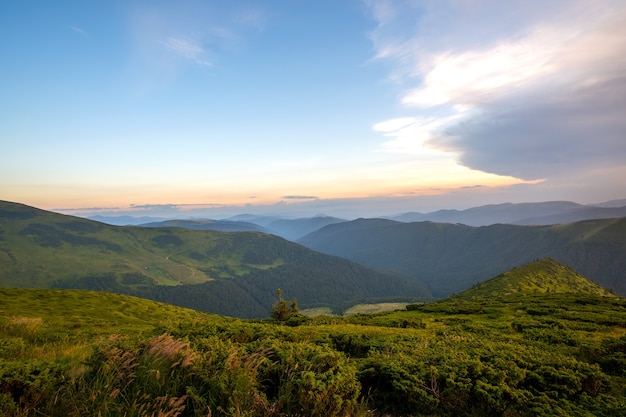 Paesaggio montano serale estivo con colline erbose e cime lontane al tramonto colorato.