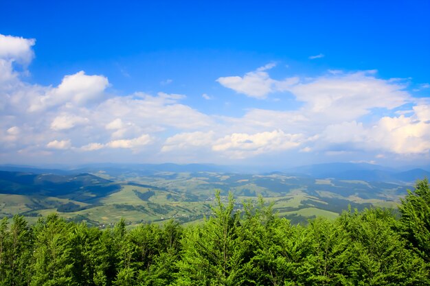 Paesaggio montano