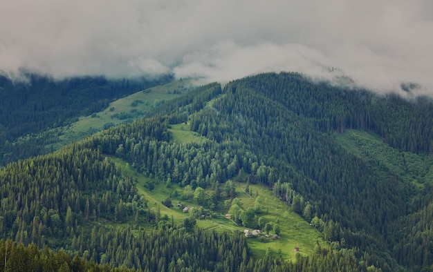 Paesaggio montuoso con colline boscose bella estate