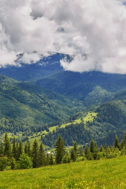 Paesaggio montuoso con colline boscose bella estate