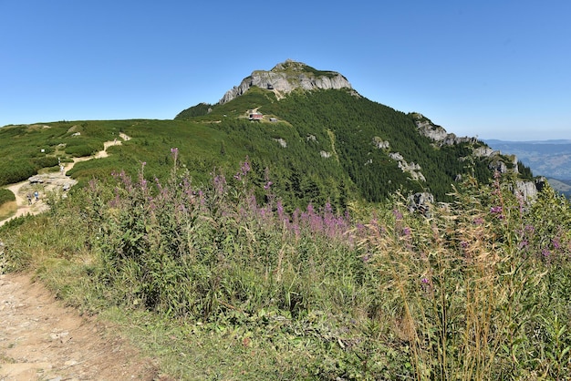 Paesaggio montuoso Monti Ceahlau Carpati orientali Romania
