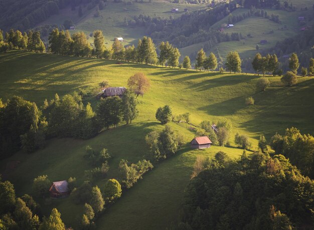 Paesaggio montuoso sfondo naturale 248