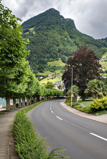 paesaggio natura vista montagna e strada svizzera