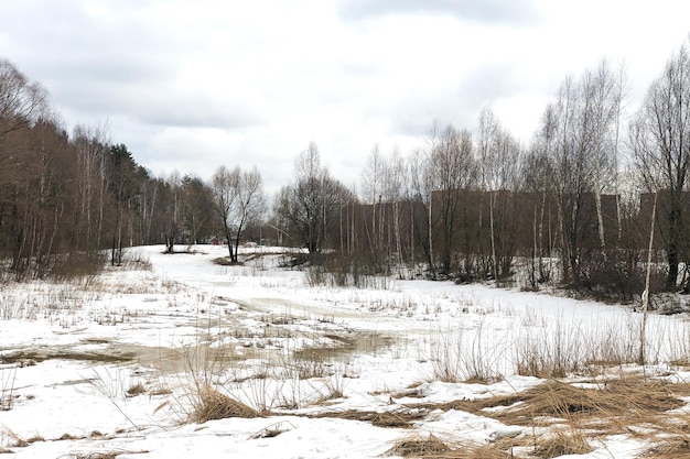 Paesaggio naturale all'inizio della primavera con prato coperto di neve che si scioglie