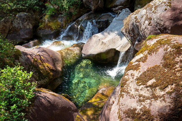 Paesaggio naturale canadese nel canyon di Monmouth