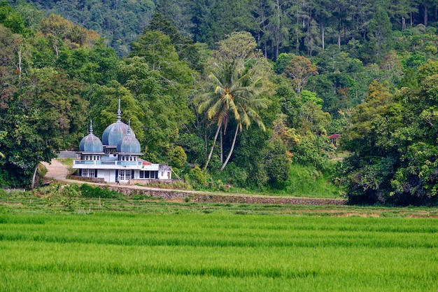 Paesaggio naturale con Moschea nel parco