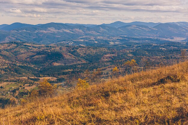 paesaggio naturale della foresta autunnale e delle montagne